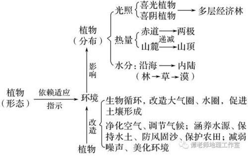 大自然与植物的关系（植物与大自然和谐共处的手抄报）-第3张图片-多多自然网