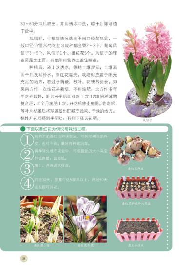 春季植物栽培与养护知识（春季栽植的优缺点）-第4张图片-多多自然网