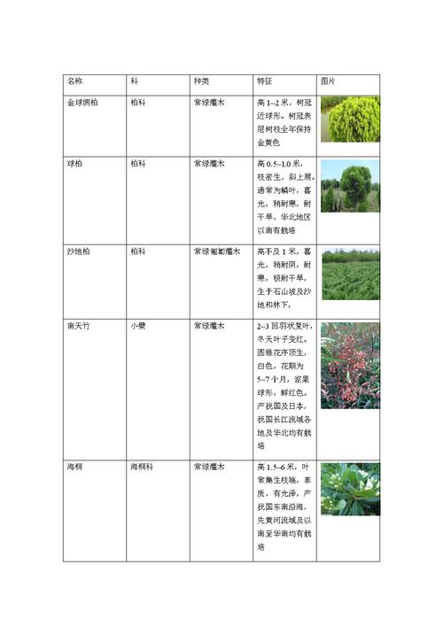 草本植物与土壤功能的关系（草本植物对土壤的影响）-第6张图片-多多自然网