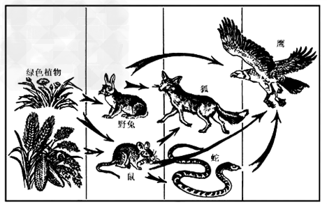 百科知识陆地保护植物（保护陆地生态的方法和措施）-第5张图片-多多自然网