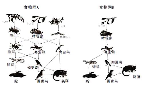 百科知识陆地保护植物（保护陆地生态的方法和措施）-第7张图片-多多自然网