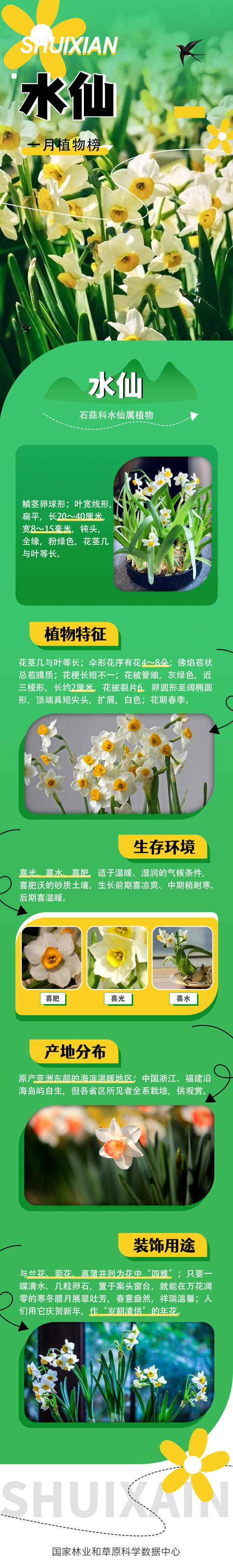 春季植物知识科普（春季植物介绍）-第8张图片-多多自然网