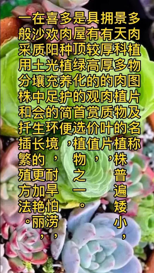 多肉植物养护的基本知识（多肉植物养护小知识）-第4张图片-多多自然网