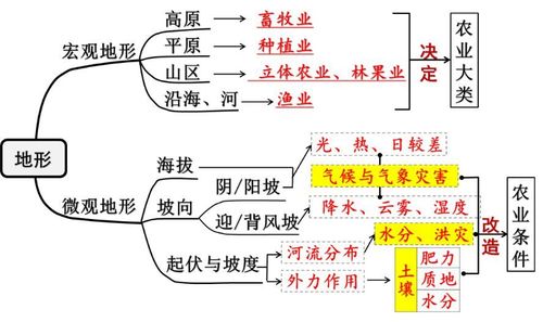 草原烟植物百科知识（草原烟植物百科知识图片）-第3张图片-多多自然网