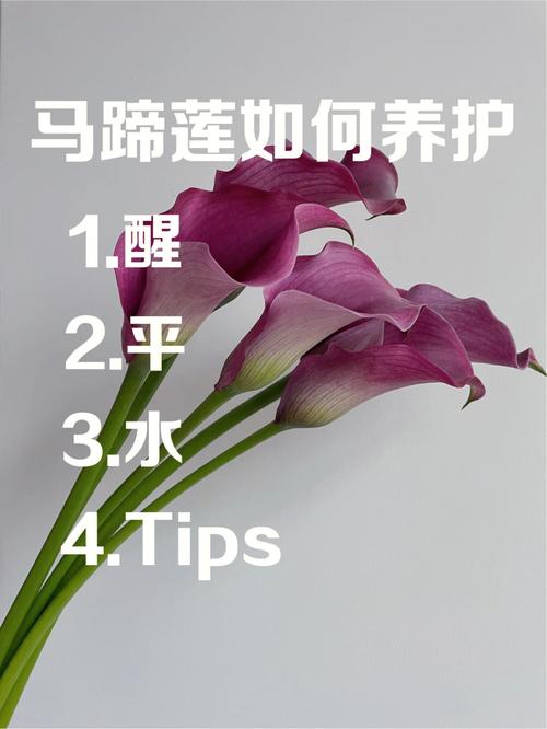 冬季养护植物小知识大全（冬季养护植物小知识大全简短）-第2张图片-多多自然网