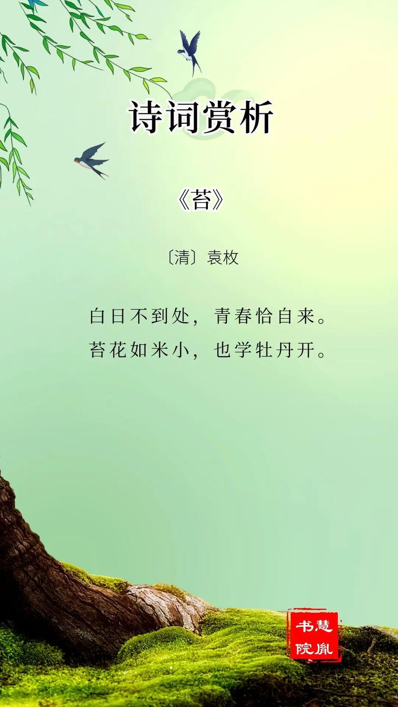 白梅是保护植物吗百科知识（白梅花是药材吗）-第1张图片-多多自然网