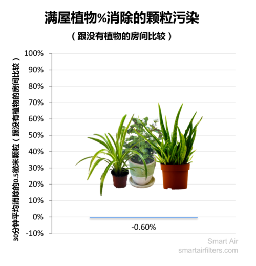 大气环境与植物的关系（植物与大气接触的主要部位）-第5张图片-多多自然网