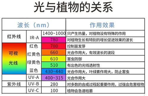 操作台与植物的关系（操作台的作用）-第6张图片-多多自然网