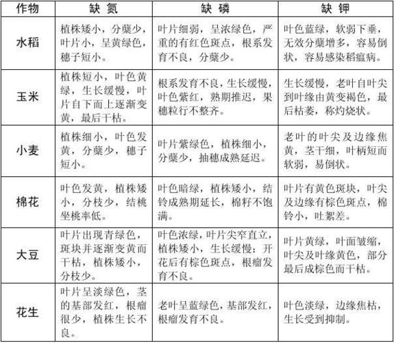 氮磷钾与植物生长的关系（氮磷钾元素对植物生长的影响）-第7张图片-多多自然网