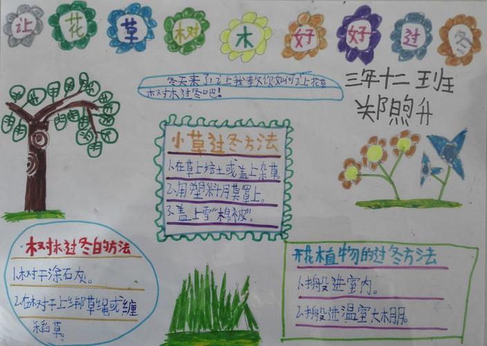 冬天养护植物小知识有哪些（冬季养什么植物）-第4张图片-多多自然网