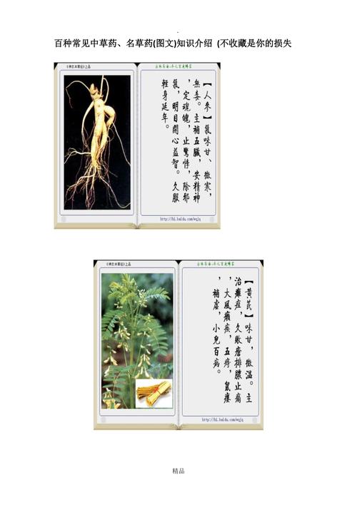 草药植物知识介绍（草药知识大全）-第4张图片-多多自然网