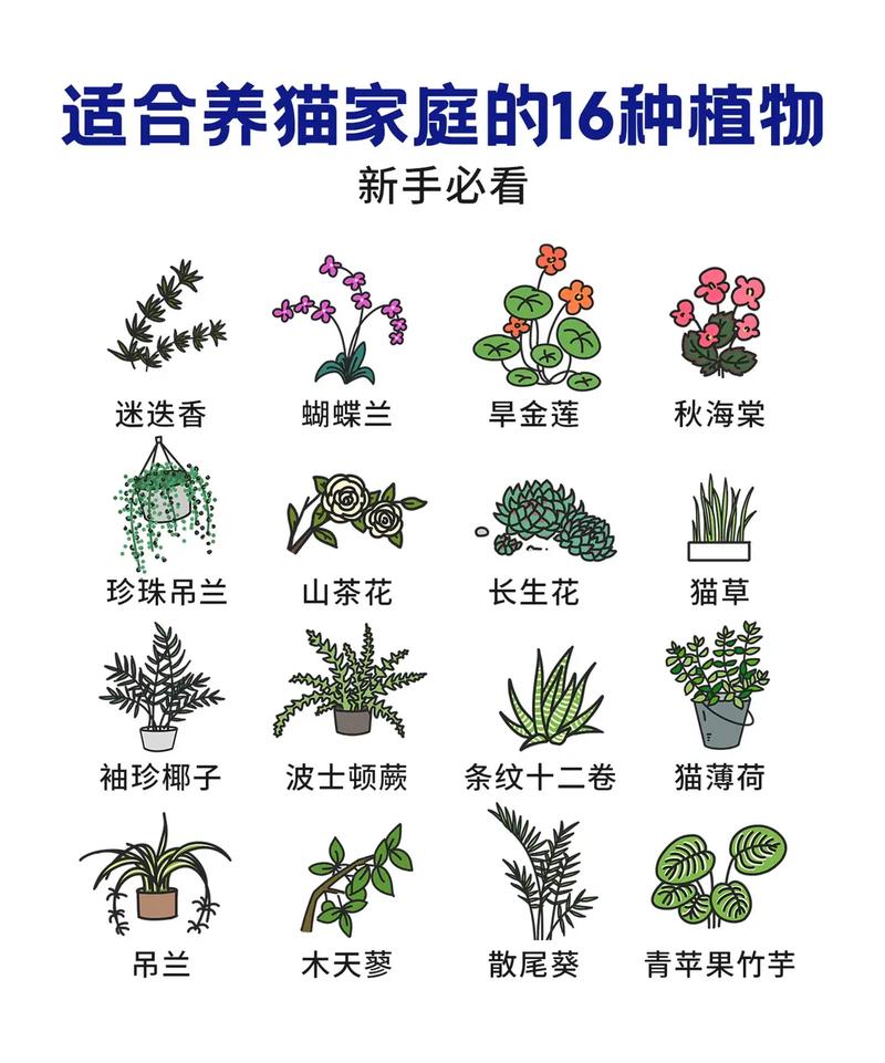 大型植物与猫的关系（猫和植物如何共处）-第2张图片-多多自然网