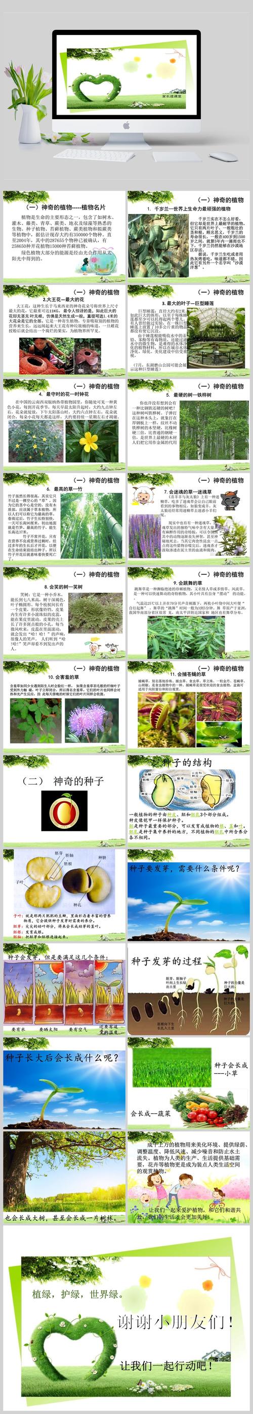 常见热带植物科普知识（常见热带植物科普知识有哪些）-第4张图片-多多自然网