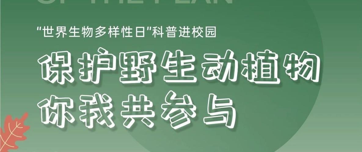 保护野生植物知识内容（保护野生植物手抄报图片）-第4张图片-多多自然网