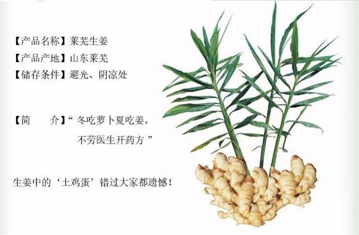 草本植物价值知识（草本植物价值知识点）-第7张图片-多多自然网