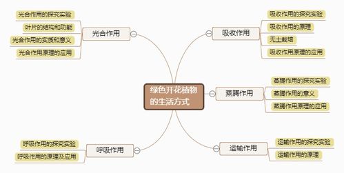 大气资源与植物繁殖的关系（大气资源与植物繁殖的关系是）-第1张图片-多多自然网