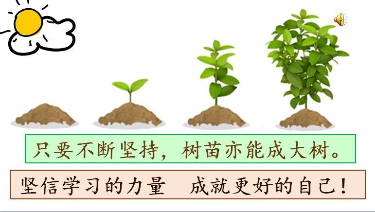 大地与植物的关系（植物与土地的故事）-第3张图片-多多自然网