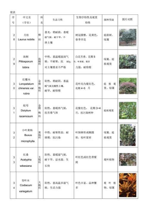 百科知识大百科植物（百科 植物）-第5张图片-多多自然网