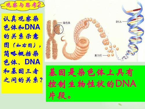 病毒与转基因植物的关系（病毒在转基因中的作用）-第1张图片-多多自然网