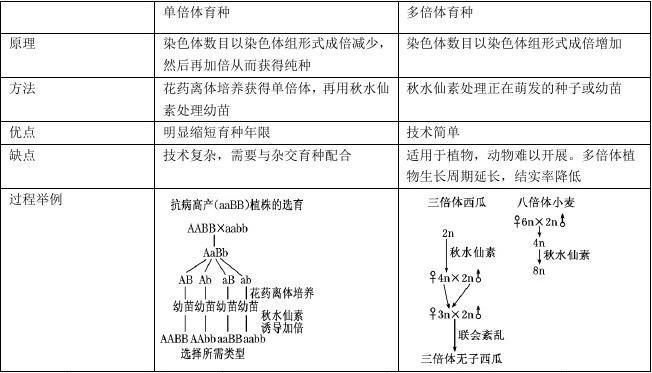 单倍体与正常植物的关系（单倍体与正常植物的关系图）-第6张图片-多多自然网