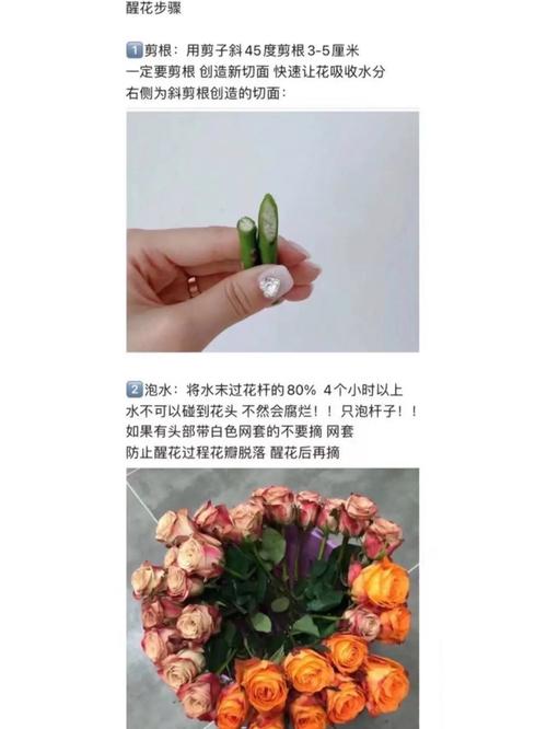 告诉你植物养护知识（植物养护须知）-第8张图片-多多自然网