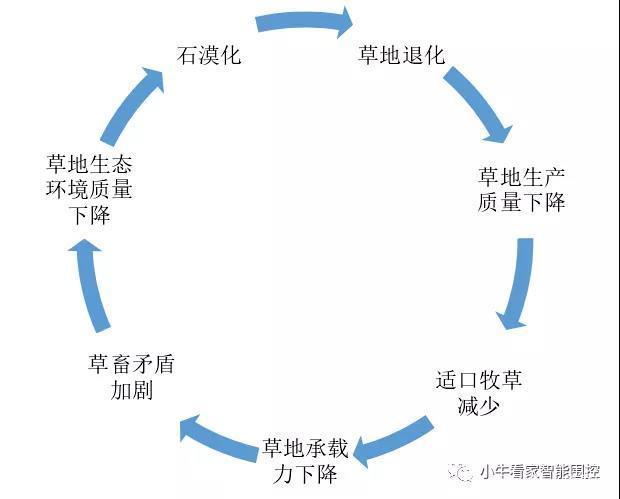 草场与植物营养的关系（草场植被是什么意思）-第6张图片-多多自然网