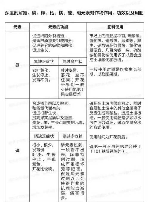 氮磷与植物的关系（氮和磷对植物的作用）-第1张图片-多多自然网