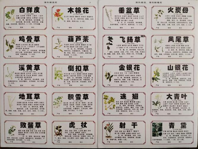 草药植物知识（草药知识大全）-第6张图片-多多自然网