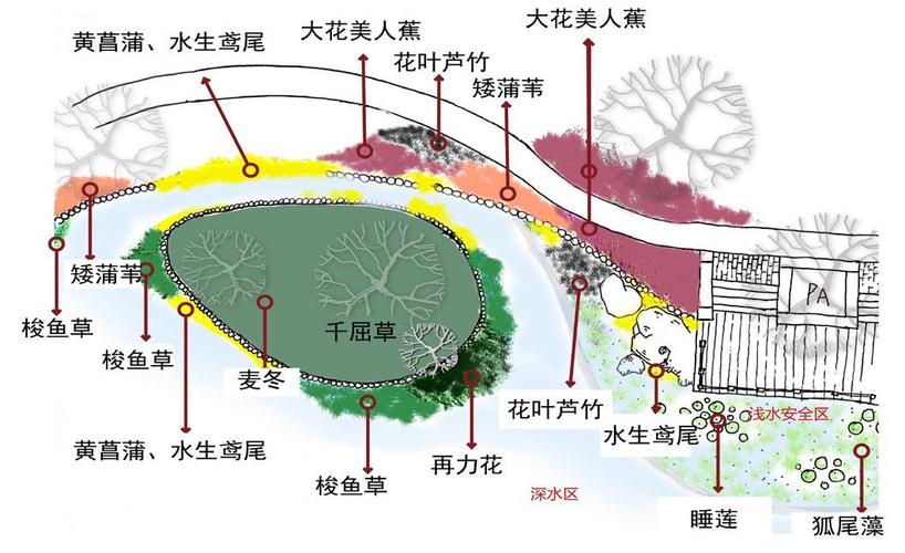 北方植物与水景的关系是什么（北方景观植物配置表）-第4张图片-多多自然网