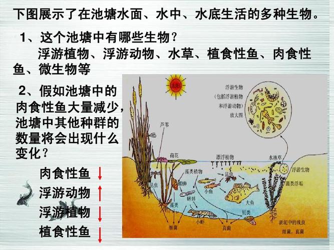 草鱼与浮游植物的关系（水草和浮游植物）-第2张图片-多多自然网