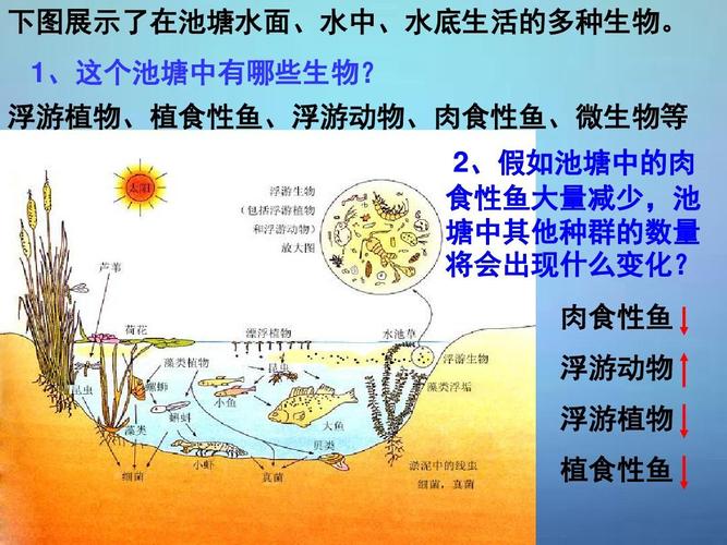 草鱼与浮游植物的关系（水草和浮游植物）-第4张图片-多多自然网