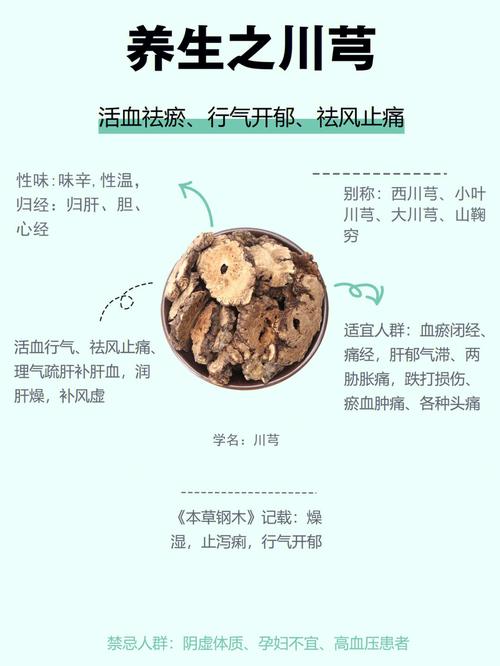 川芎是保护植物吗百科知识（川芎是药材吗）-第1张图片-多多自然网