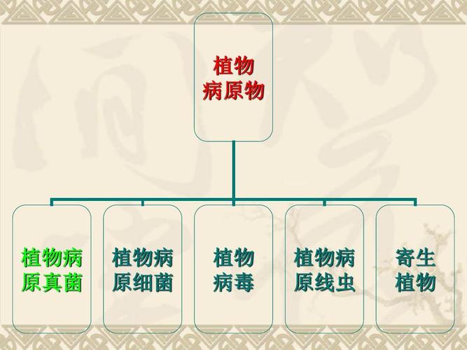 病原物与植物的关系（病原物与植物的关系图）-第1张图片-多多自然网