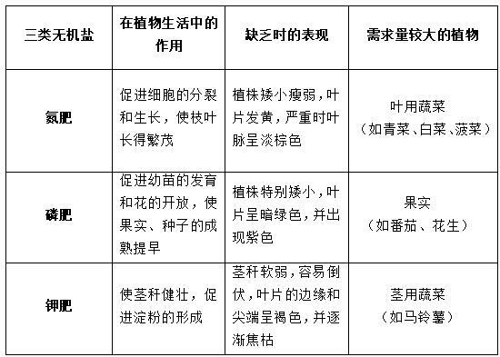 氮与植物根部和叶片的关系（氮与植物根部和叶片的关系是）-第5张图片-多多自然网