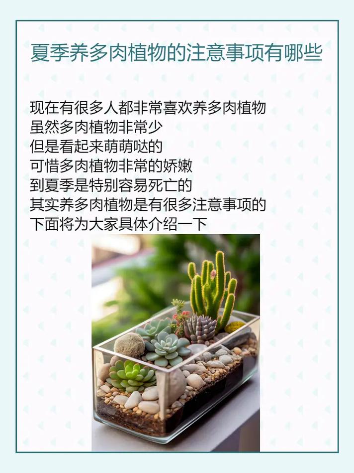 多肉植物养护知识有哪些（多肉日常养护知识要点）-第7张图片-多多自然网