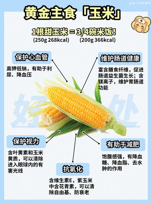 胆固醇与植物的关系是什么（植物胆固醇和动物胆固醇）-第3张图片-多多自然网