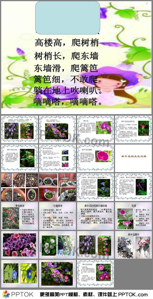 百科知识大百科植物有哪些（植物百科问答100道）-第4张图片-多多自然网