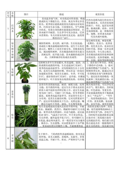 百科知识大百科植物有哪些（植物百科问答100道）-第6张图片-多多自然网