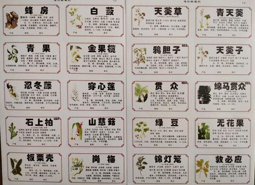 草药植物名称知识百科大全（草药植物大全名字和图片大全集）-第1张图片-多多自然网