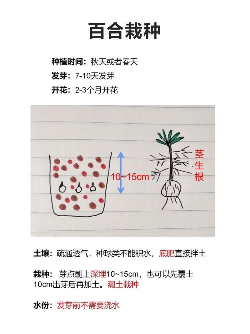 地栽植物养护知识大全集（地栽植物养护知识大全集视频）-第4张图片-多多自然网