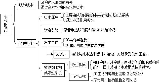 氮代谢与植物的关系（植物氮代谢通路图）-第1张图片-多多自然网