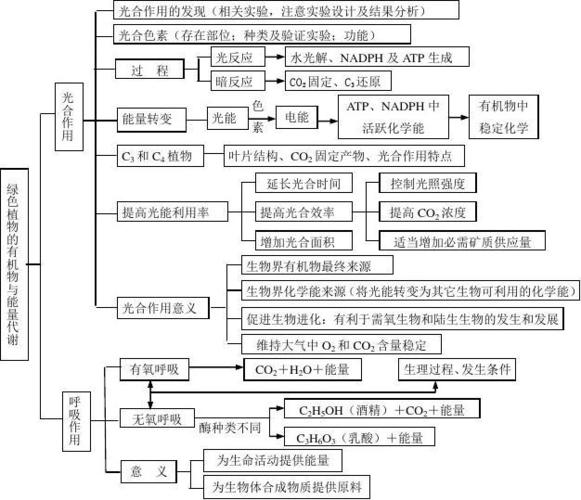 氮代谢与植物的关系（植物氮代谢通路图）-第3张图片-多多自然网