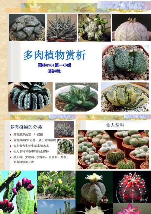 花卉养护知识+多肉植物（多肉花卉如何栽培）-第7张图片-多多自然网