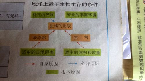 大气环境与植物的关系是（大气与植物之间存在怎样的生态关系）-第1张图片-多多自然网