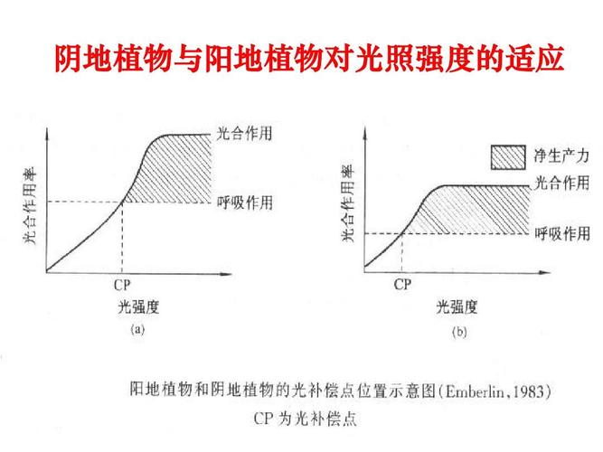 大气环境与植物的关系是（大气与植物之间存在怎样的生态关系）-第4张图片-多多自然网