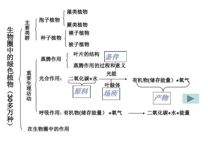 大气环境与植物的关系是（大气与植物之间存在怎样的生态关系）-第6张图片-多多自然网