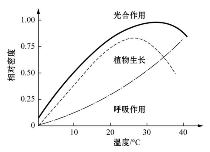 大气环境与植物的关系是（大气与植物之间存在怎样的生态关系）-第7张图片-多多自然网