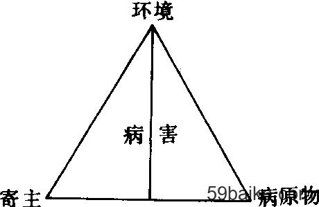 病原菌与植物的关系（病原菌和病毒）-第6张图片-多多自然网