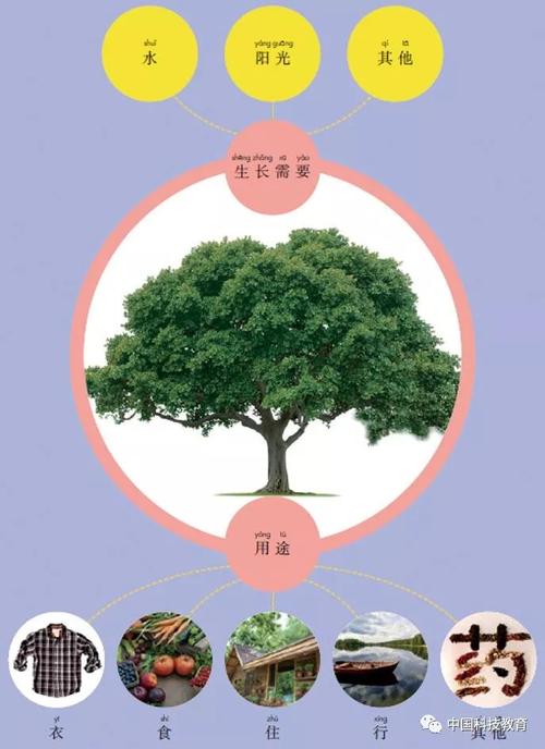 大地与植物的生长关系（大地算植物吗）-第6张图片-多多自然网