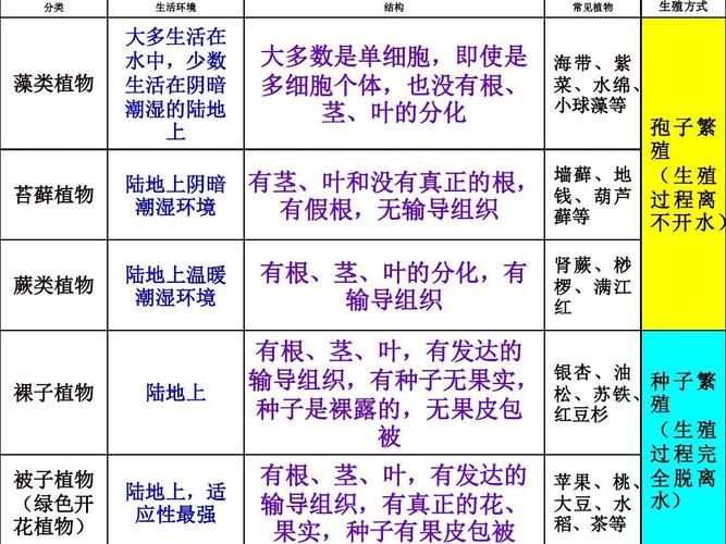 大自然中的植物与环境有什么关系（植物与自然环境关系图）-第2张图片-多多自然网